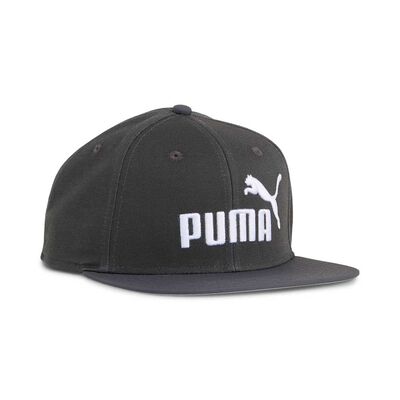 Imagen 1 del producto Jockey Unisex Ess No 1 Logo Flat Brim Puma Gris