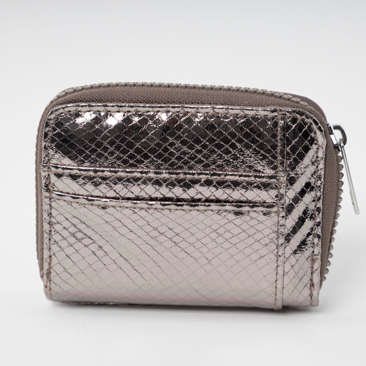 Billetera Plateado Mujer Icono