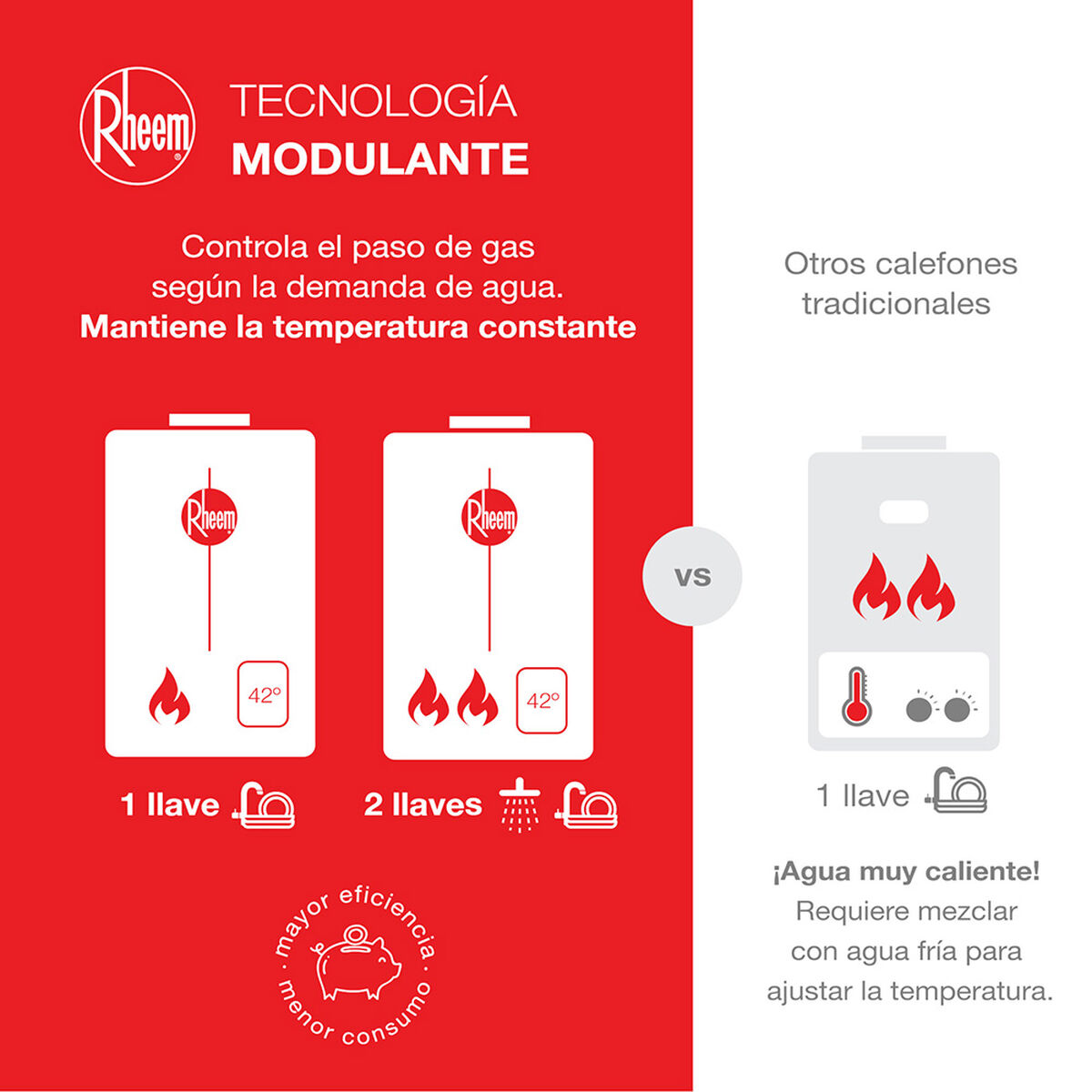 Calefont Gas Natural Rheem Tiro Forzado Digital 12 lts.