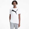 Polera Hombre Puma Big Logo Tee