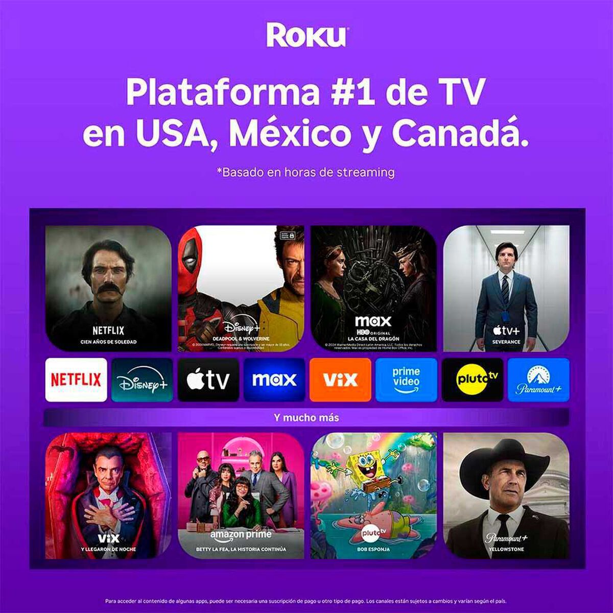 Reproductor Streaming Roku Stick+ 3810MX