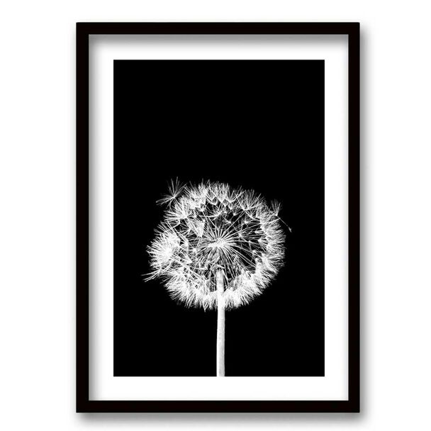 Cuadro Decorativo Retela Flor De Leon N 40 x 30 cm