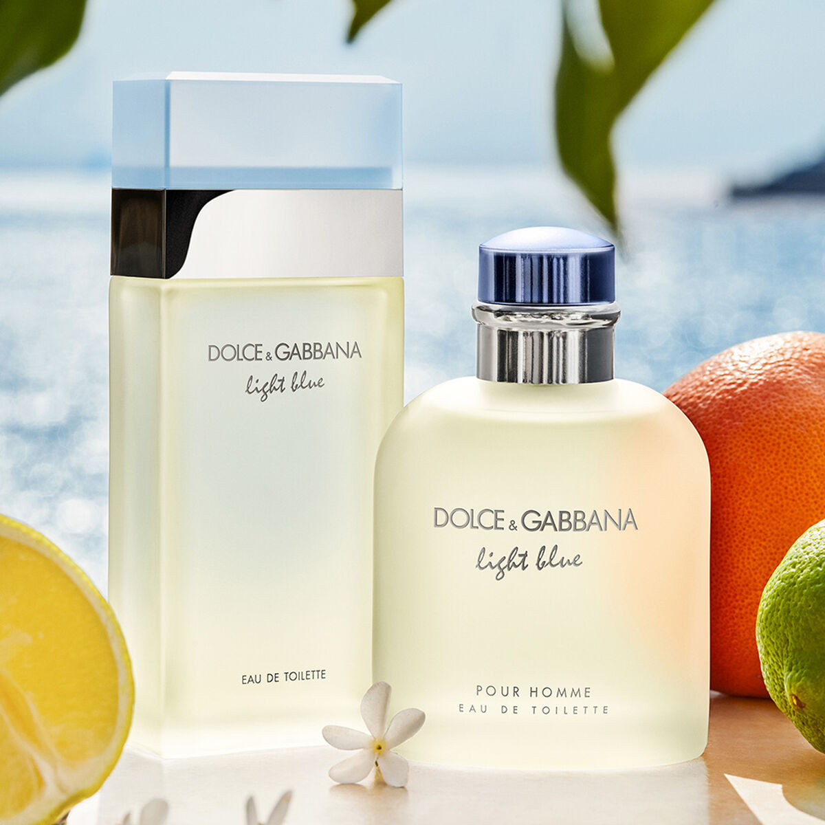 Perfume Dolce & Gabbana Light Blue EDT 100 ml