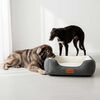 Cama Pawzen Ortop L90x60 Beepet