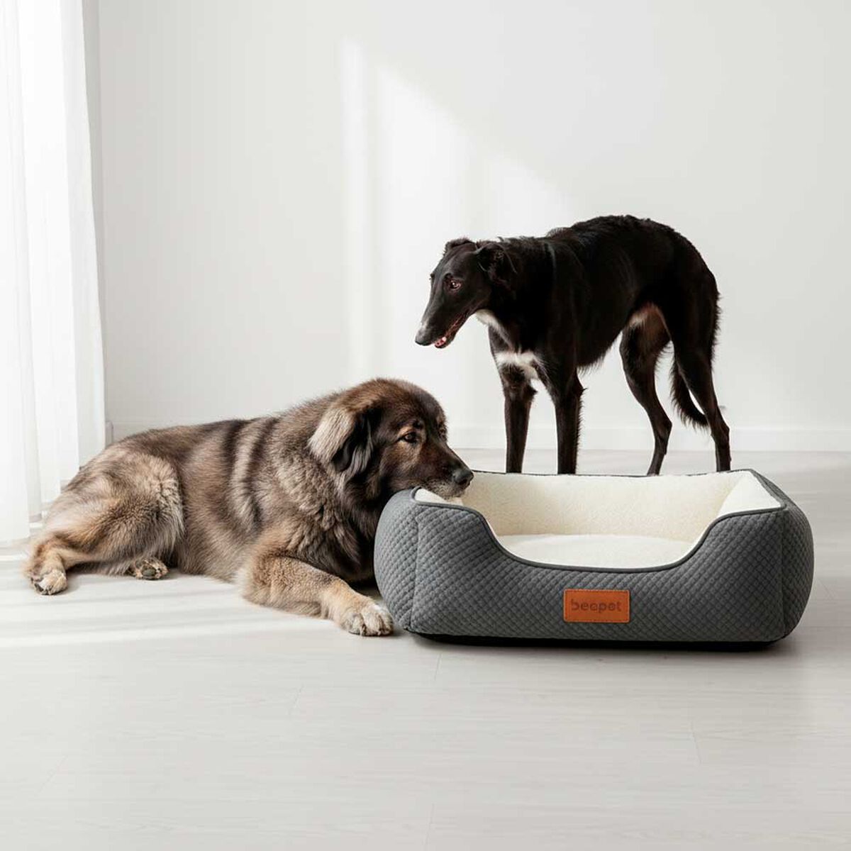 Cama Pawzen Ortop L90x60 Beepet