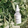 Serum Niacinamida 10% + Zinc 1% / 30 Ml The Ordinary