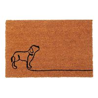 Limpiapiés Idetex Coco Pas 45 x 75 cm Café