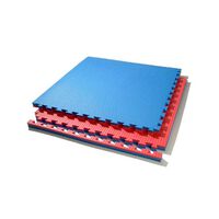 Goma Eva Dual 2.0 Talbot