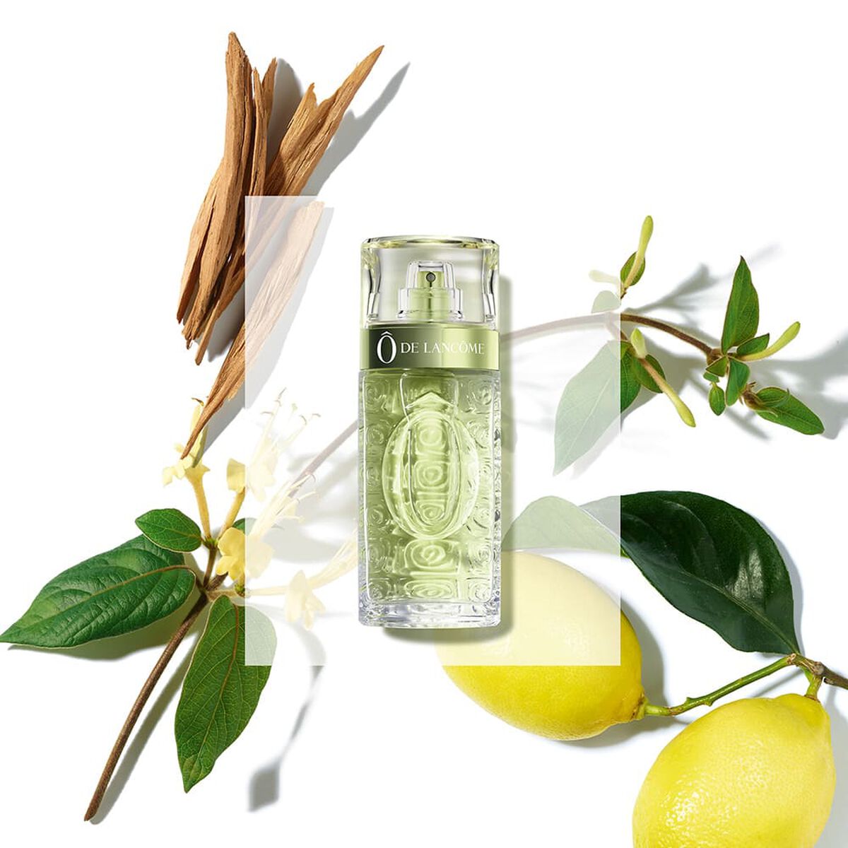 Perfume Ô de Lancôme EDT 125 ml
