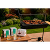 Parrilla a Carb&oacute;n Casanova Medio Tambor con Roldana Negro + Set 6 Copas Vino + 6 Vasos 334 ml + 6 Vasos 190 ml Vitta