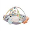 Gimnasio Acurrucame Pinguino Playgro