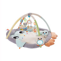Gimnasio Acurrucame Pinguino Playgro