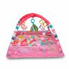 Gim Corral Pelota Rosado Bebesit