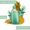 Perfume Cacharel Eden EDP 50 ml