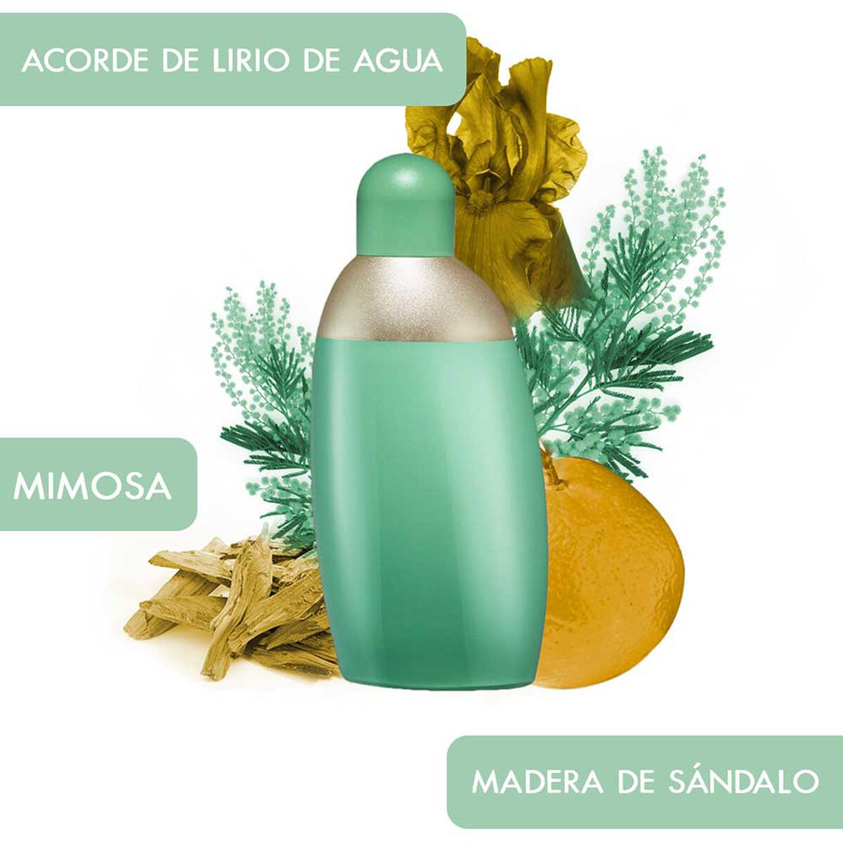 Perfume Cacharel Eden EDP 50 ml