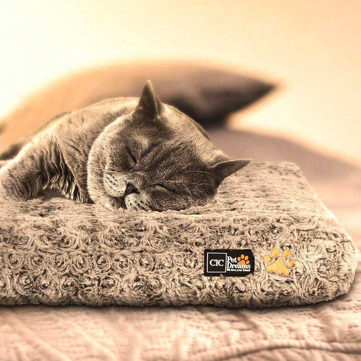 Cama para Mascota CIC Pet Dreams Talla M