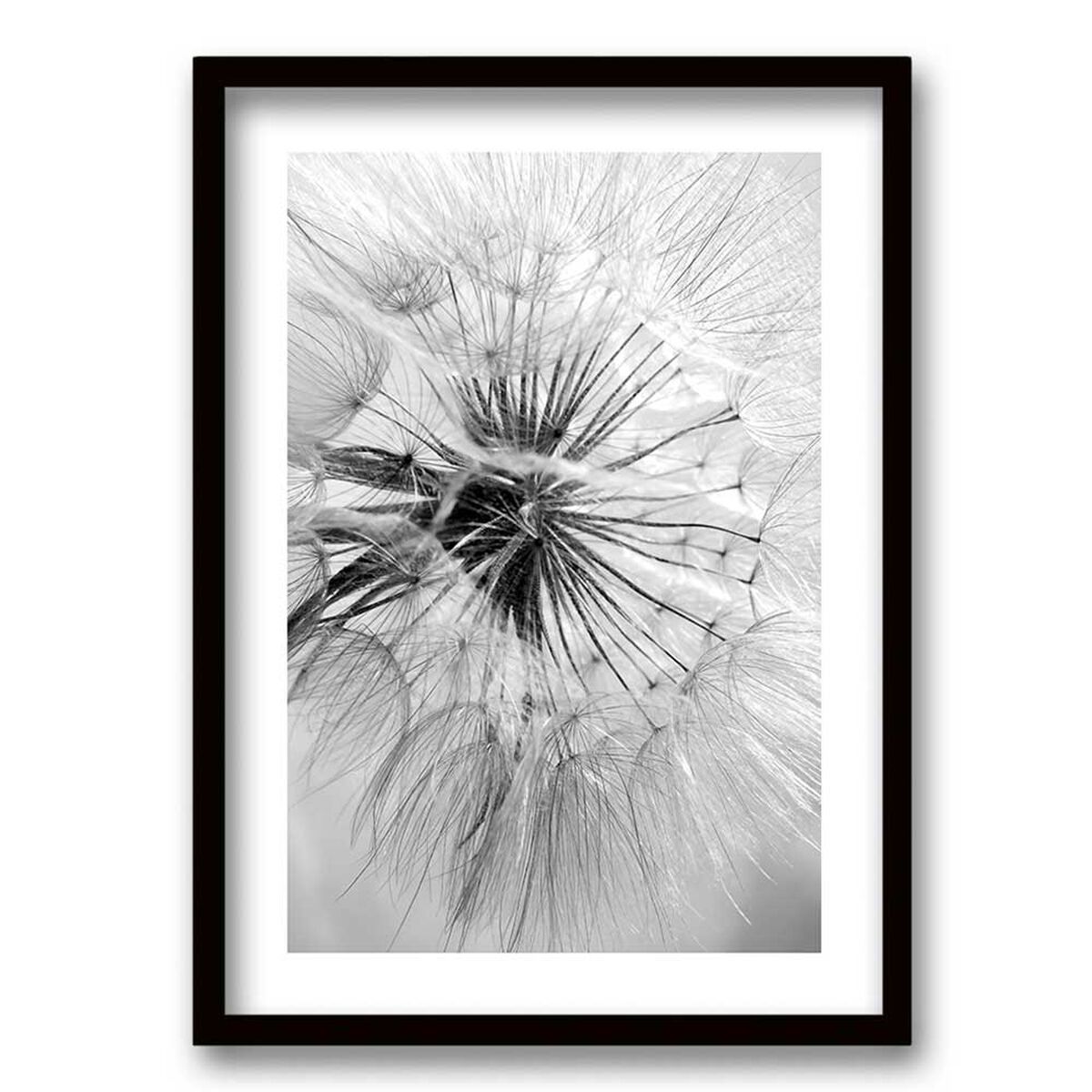 Cuadro Decorativo Retela Flor de León 40 x 30 cm