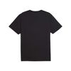 Polera Entrenamiento Hombre Puma