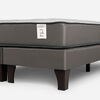 Cama Europea Rosen 2 Plazas New Style 2 Plus Base Dividida