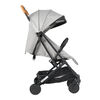 Coche de Paseo Terrain 2G Gris