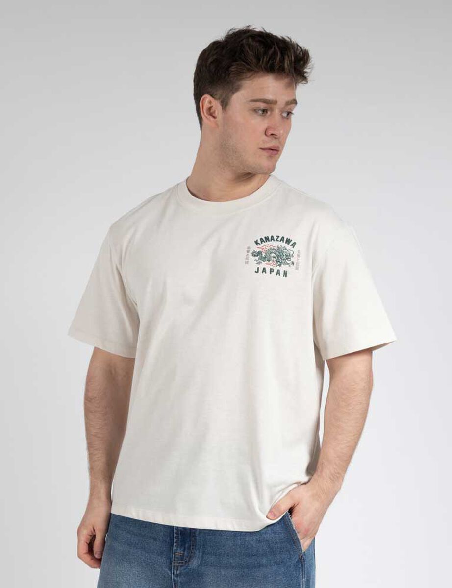 Polera Manga Corta Hombre Icono