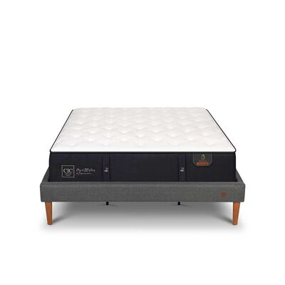 Imagen 1 del producto Cama Europea CIC King Premium