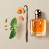Perfume Giorgio Armani Stronger With You 30 ml