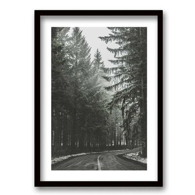 Cuadro Decorativo Retela Bosque BN II 70 x 50 cm