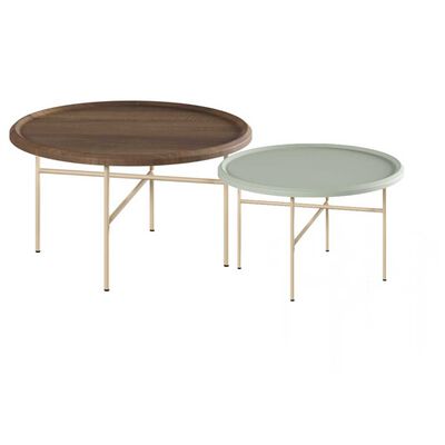 Mesa de Centro Amuv Duo Domo