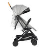 Coche de Paseo Terrain 2G Gris