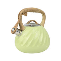 Tetera Doral Acero Inoxidable Afrodita 3 lts. Verde Agua