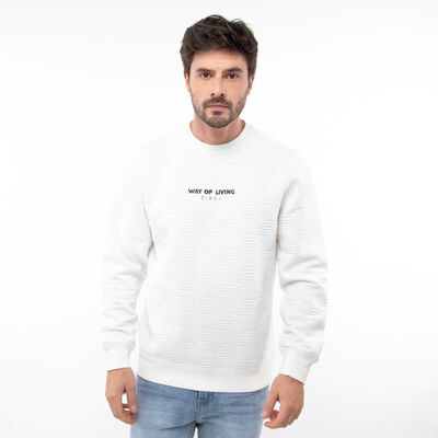 Polerón Con Estampado Hombre Zibel