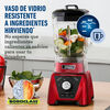 Licuadora Oster BLST3B-RPG-052 2 lt. Xpert Series