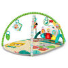Gimnasio Interactivo Safari Tropical 4 En 1 Bright Starts