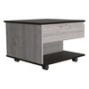 Mesa de Centro TuHome 5G-1 Ceniza Wengue