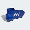 Zapato De Fútbol Hombre Adidas Predator 19.2 Hg
