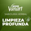 Shampoo Limpieza Profunda Sabiduría Herbal Vanart 600 ml