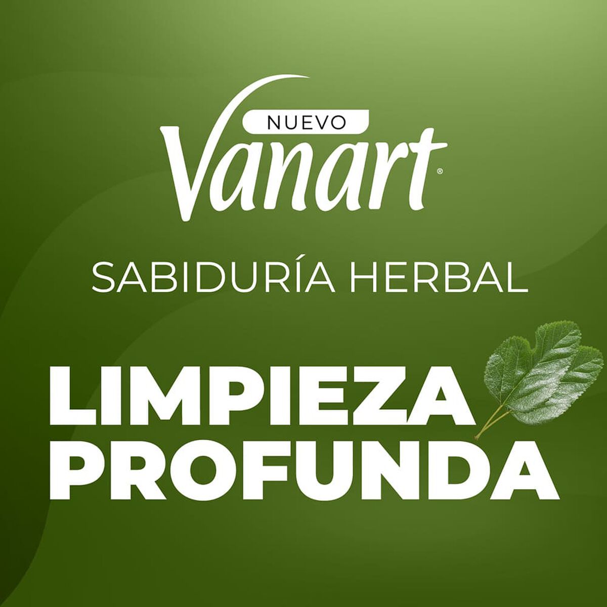 Shampoo Limpieza Profunda Sabiduría Herbal Vanart 600 ml