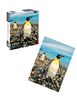 Puzzle 1000 Piezas Fauna Chilena Nobel Gift