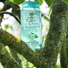 Shampoo de Cuidado Cabello Mixto a Graso - Aloe Vera & Té Verde - Vegano - 250 ml