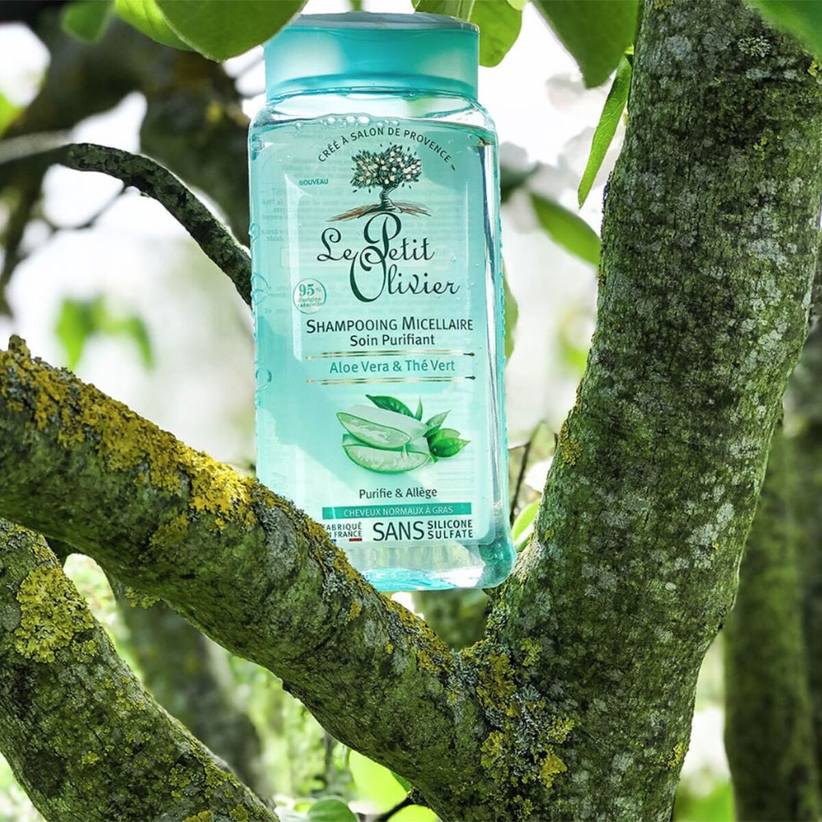 Shampoo de Cuidado Cabello Mixto a Graso - Aloe Vera & Té Verde - Vegano - 250 ml