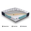Cama Europea CIC Base Dividida 2 Plazas S&uacute;per Premium + Respaldo Kavery