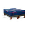 Cama Europea Sealy King Sealy Elite