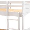 Camarote Decocasa 1 Plaza Curvy