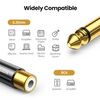Adaptador Gold Mono Rca H/M Plug 6.3Mm Ugreen Av169