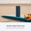 Parlante Bluetooth Sony XE300 Azul