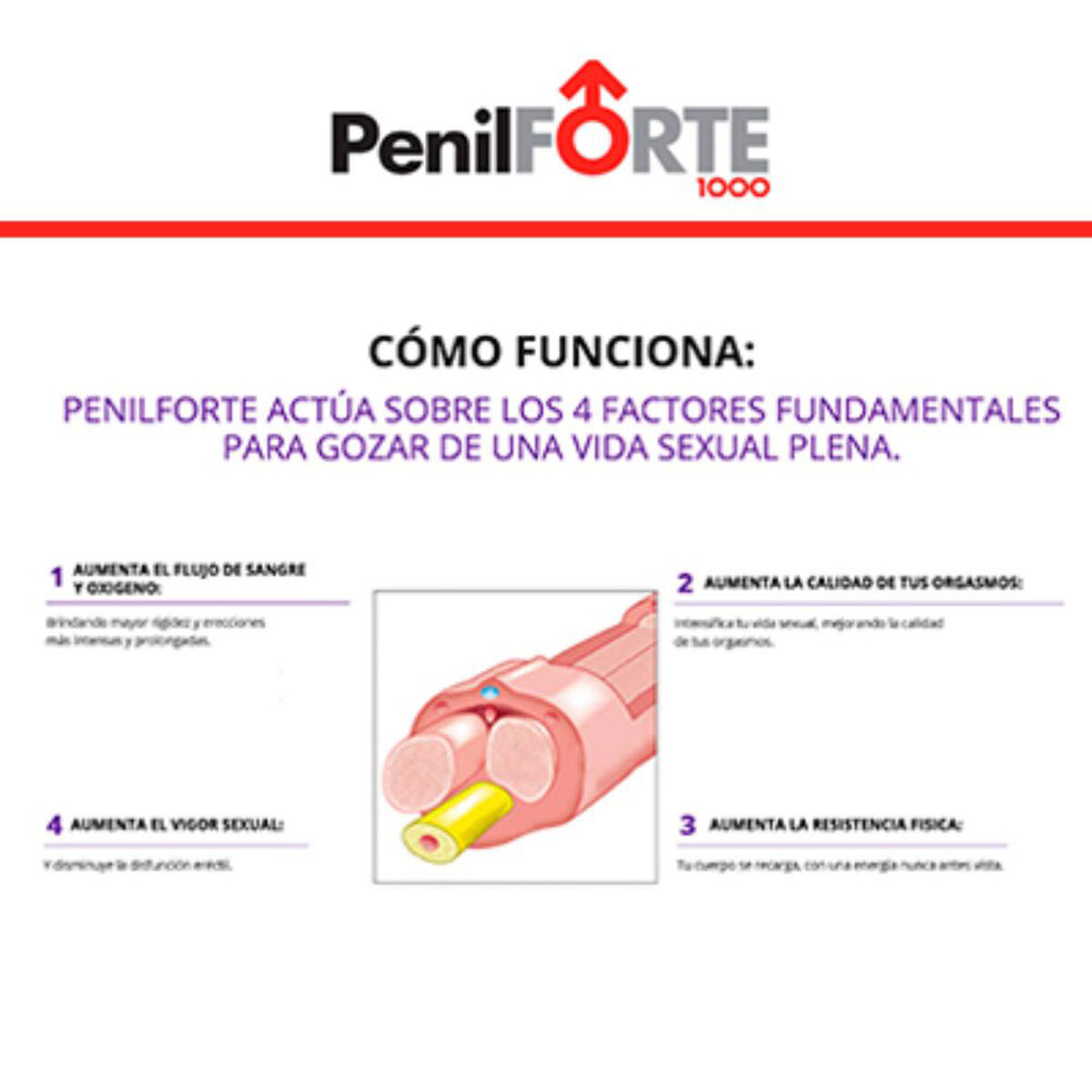Penilforte Tratamiento Potenciador Sexual 1 Mes