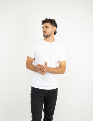 Imagen 1 del producto Polera Manga Corta Hombre Zibel Blanco, Burdeo, Negro, Tabaco
