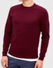 Sweater de Algodón Hombre Trial