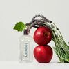 Perfume Tommy Hilfiger Hombre EDT 30 ml